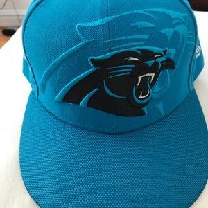 Panthers fitted